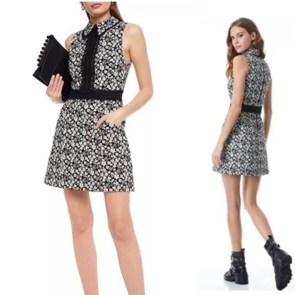 Alice + Olivia Dresses & Skirts - Alice + Olivia Ellis Zip Front Sleeveless Mini Dress